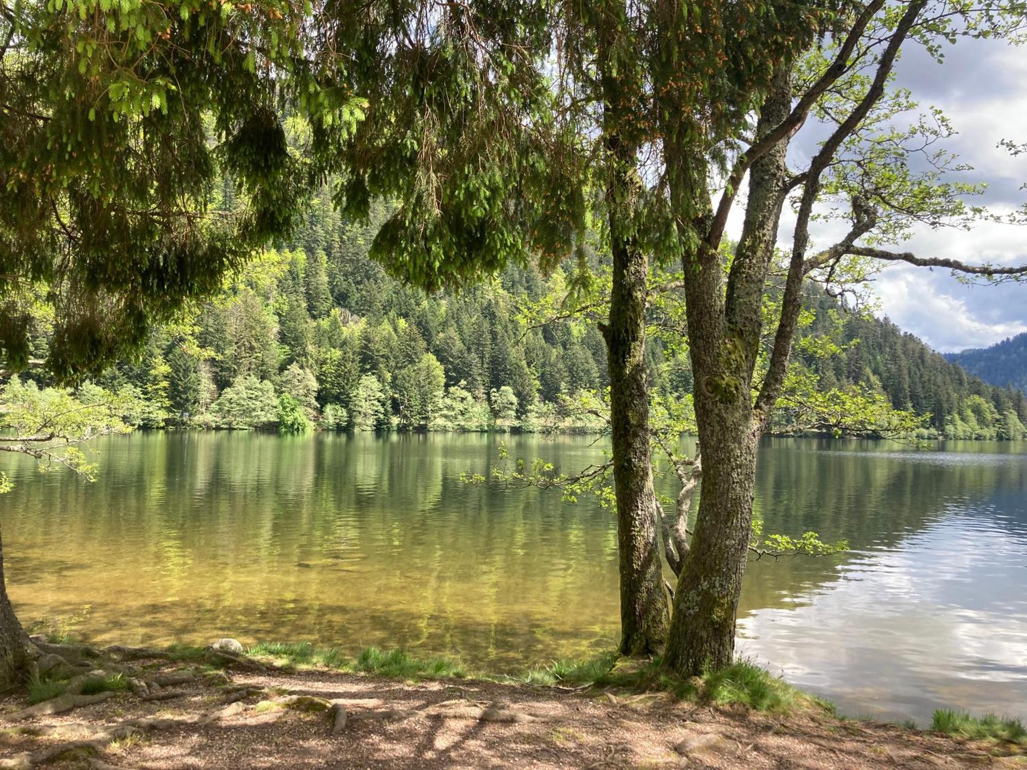 Le Perchoir, Gite 7 Personnes, Le Grand Valtin Ban-sur-Meurthe-Clefcy Exterior foto